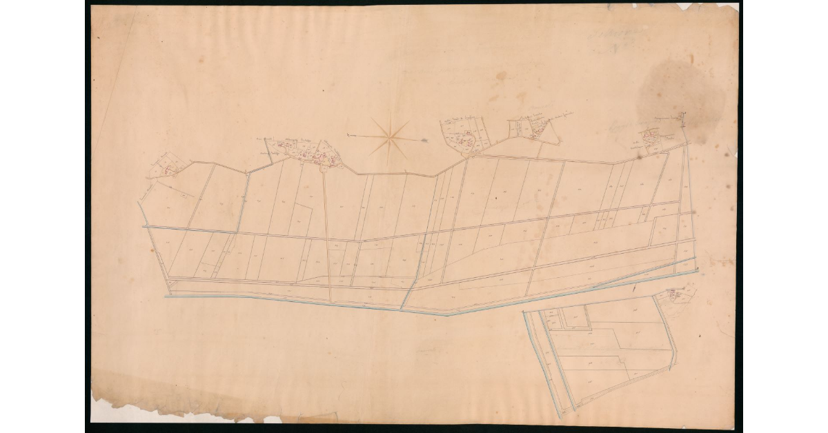 Foglio VII. Sezione N.II [relativo ad un settore della Valdichiana suddiviso fra 6 case poderali]