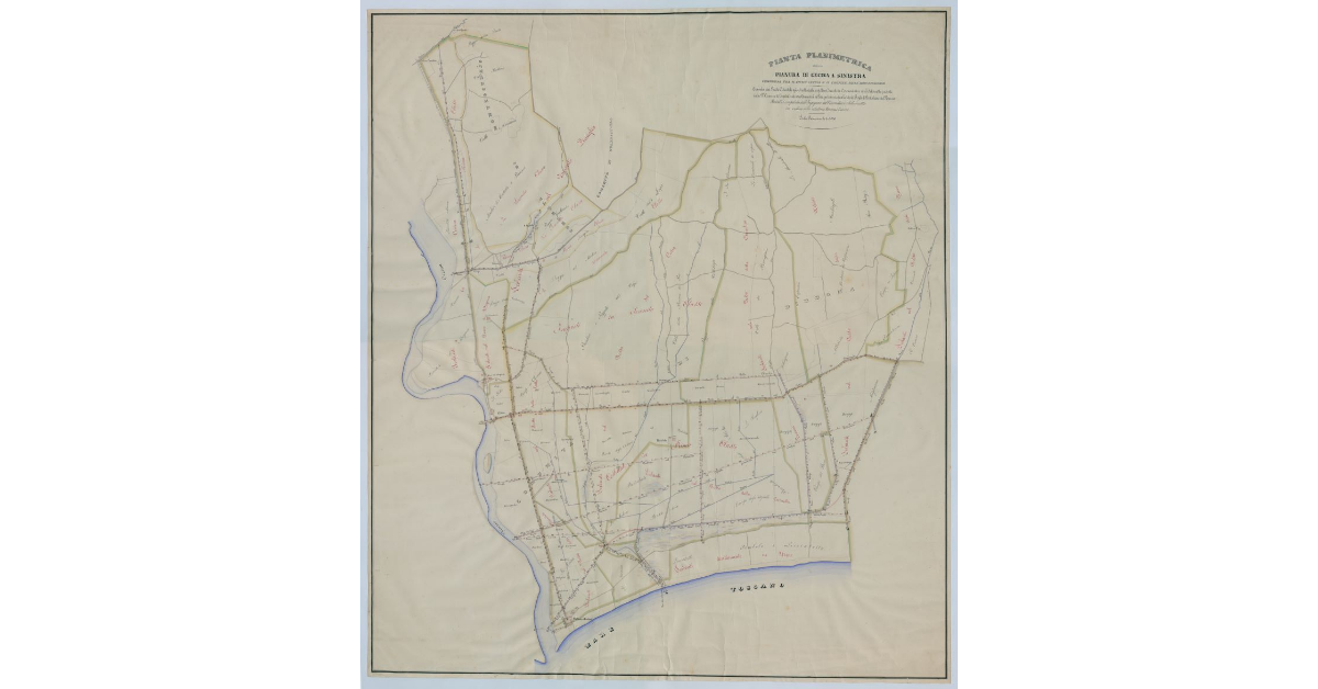 Pianta planimetrica della Pianura di Cecina a Sinistra compresa tra il Fiume Cecina e il Confine dell'Agro Bibbonese