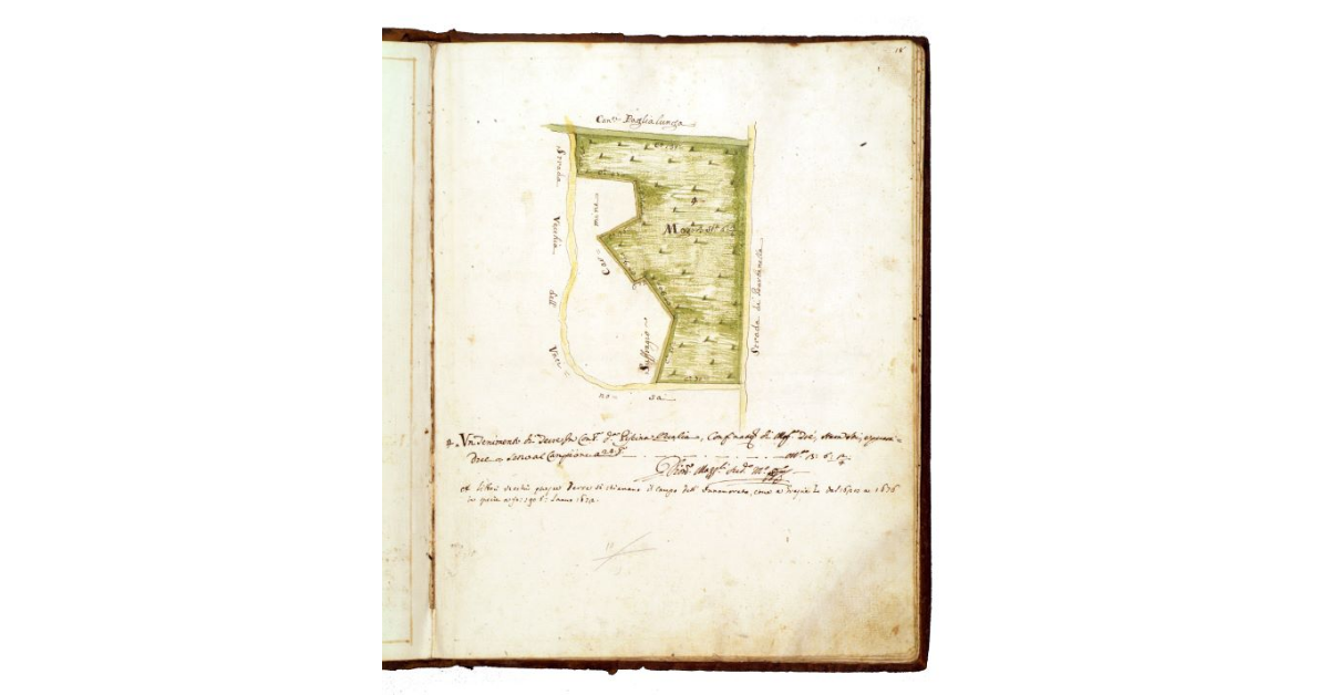 [Appezzamento di terra dei Frati di S. Francesco di Grosseto]