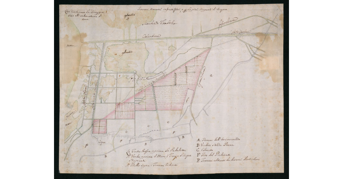[Carta topografica del territorio costiero livornese compreso tra il fosso Calambrone e la vecchia Strada Pisana]