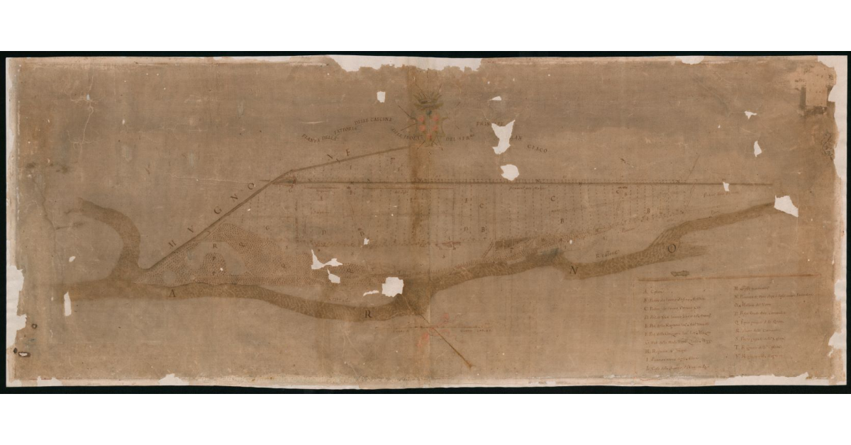 Pianta della Fattoria delle Cascine dell'Isola del Ser.mo Principe Francesco