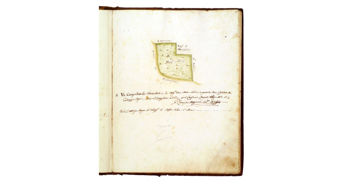 [Campo detto ''Marrucheti'' dei Frati di S. Francesco di Grosseto]