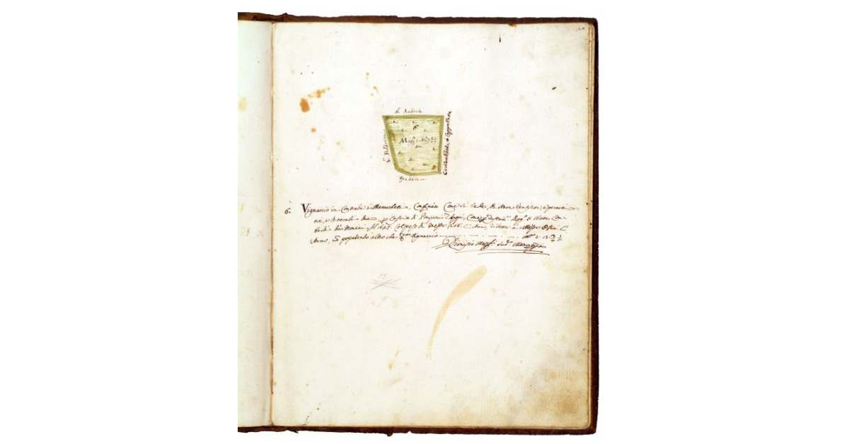 [Appezzamento di terra dei Frati di S. Francesco di Grosseto]