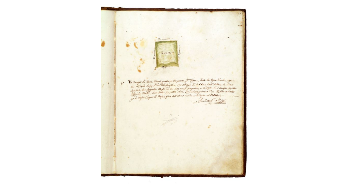 [Appezzamento di terra dei Frati di S. Francesco di Grosseto]