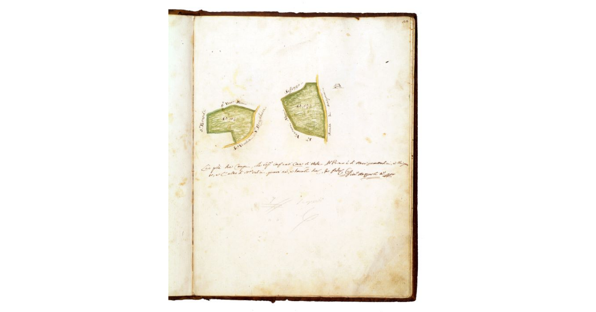 [Appezzamenti di terra dei Frati di S. Francesco di Grosseto]