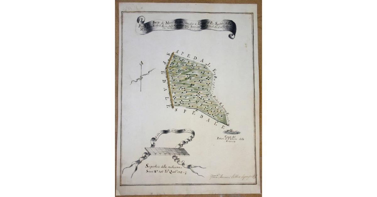 Pianta del Bosco di monte Piciani, concesso a Linea al Pio Spedale di S.a M.ria della Scala di Siena dalla Comunità delle Serre come per Istrum.to del dì 12 giug.o 1773 col Annuo Canone di L. 35.2.3