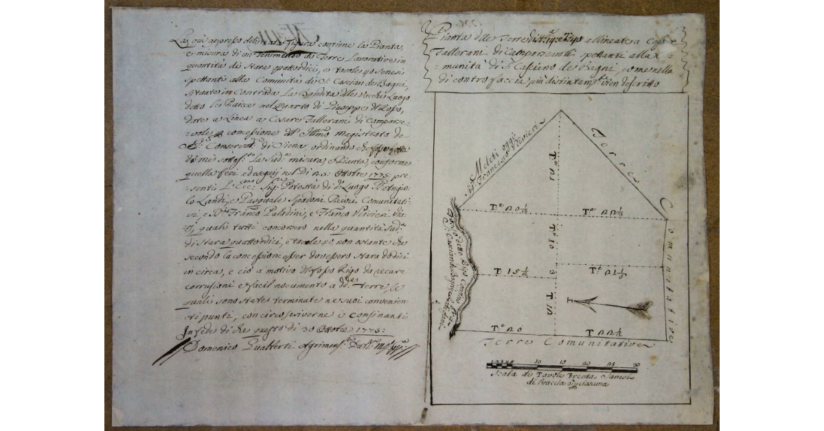 Pianta delle Terre di st.a 14 e T. 40 allineate a Cesare Fallerani di Camporsevoli spettanti alla Comunità di S.Casciano de Bagni ,come nella contro faccia più distintamente vien descritto