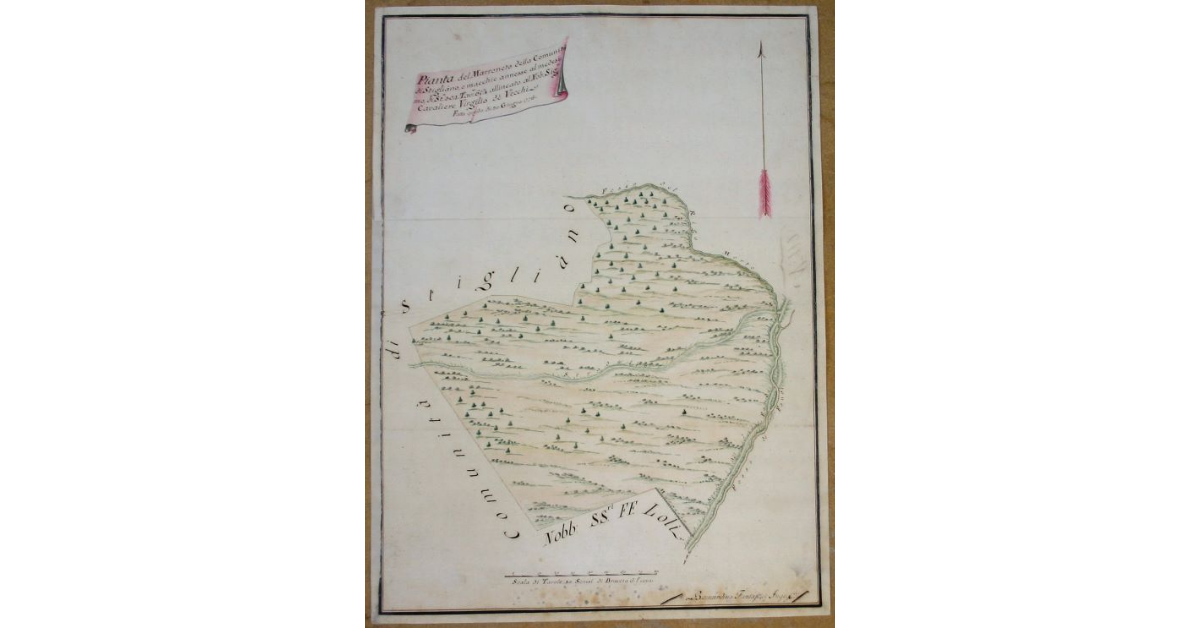 Pianta del Marroneto della Comunità di Stigliano, e macchie annesse al medesimo, di Staia 304, Tavole 65 3/8 allineato al Nobile Signor Cavaliere Virgilio dè Vecchi