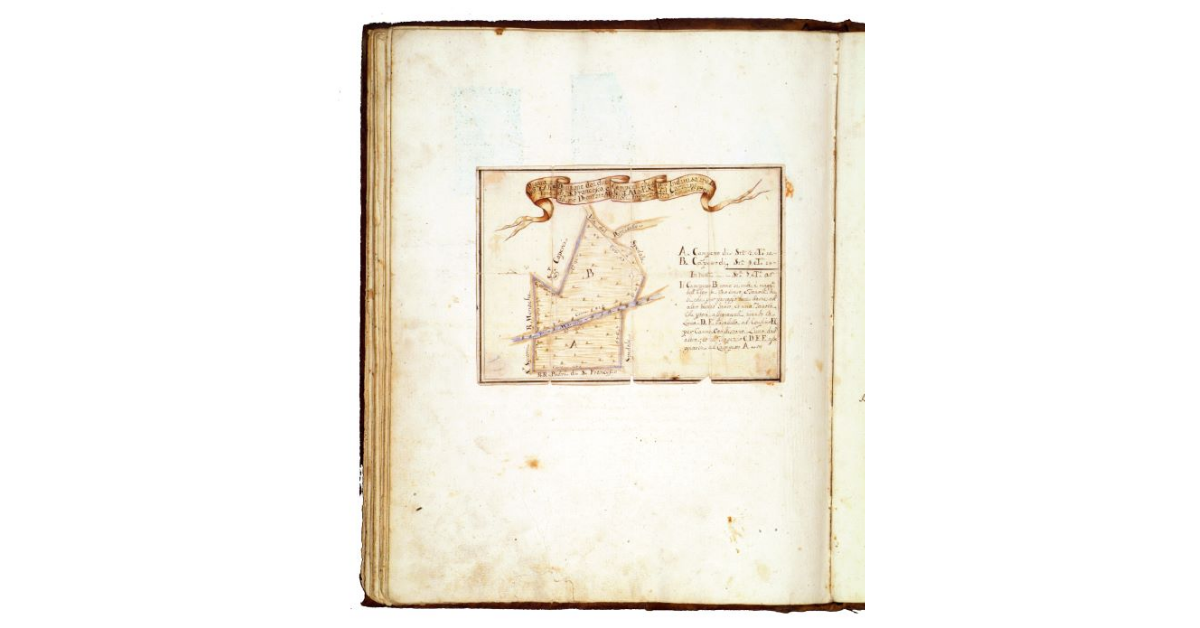 Pianta e divisione dei due campetti che so' per indiviso tra l' ven.le alt. di S. Francesco e della mad. s.ma del Carmine fatta da me Dionisio Mazuoli ingegnere questo dì 12 novembre 1729