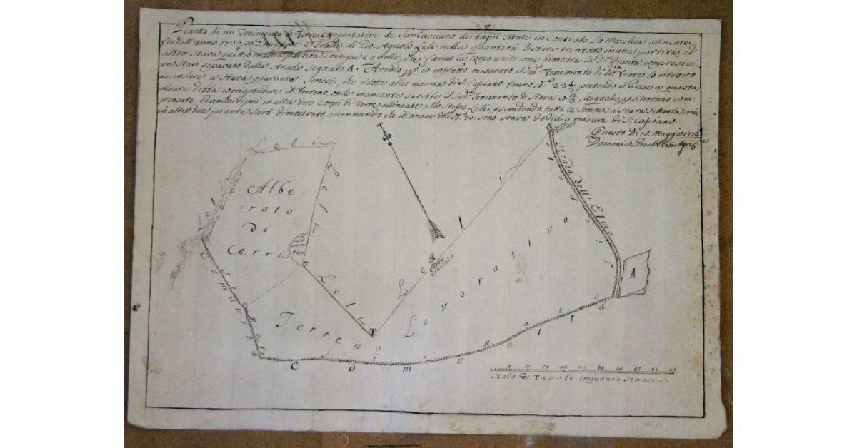 Pianta di un Tenimento di Terre Comunitative di S. Cascian de Bagni situate in contrada la Macchia