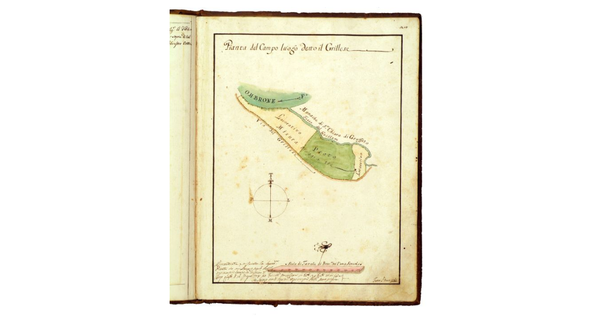 Pianta del campo detto il Grillese