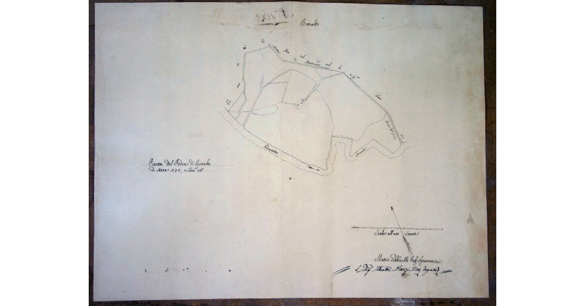 Pianta del Podere di Botralto di Stara 275, e tavole 26