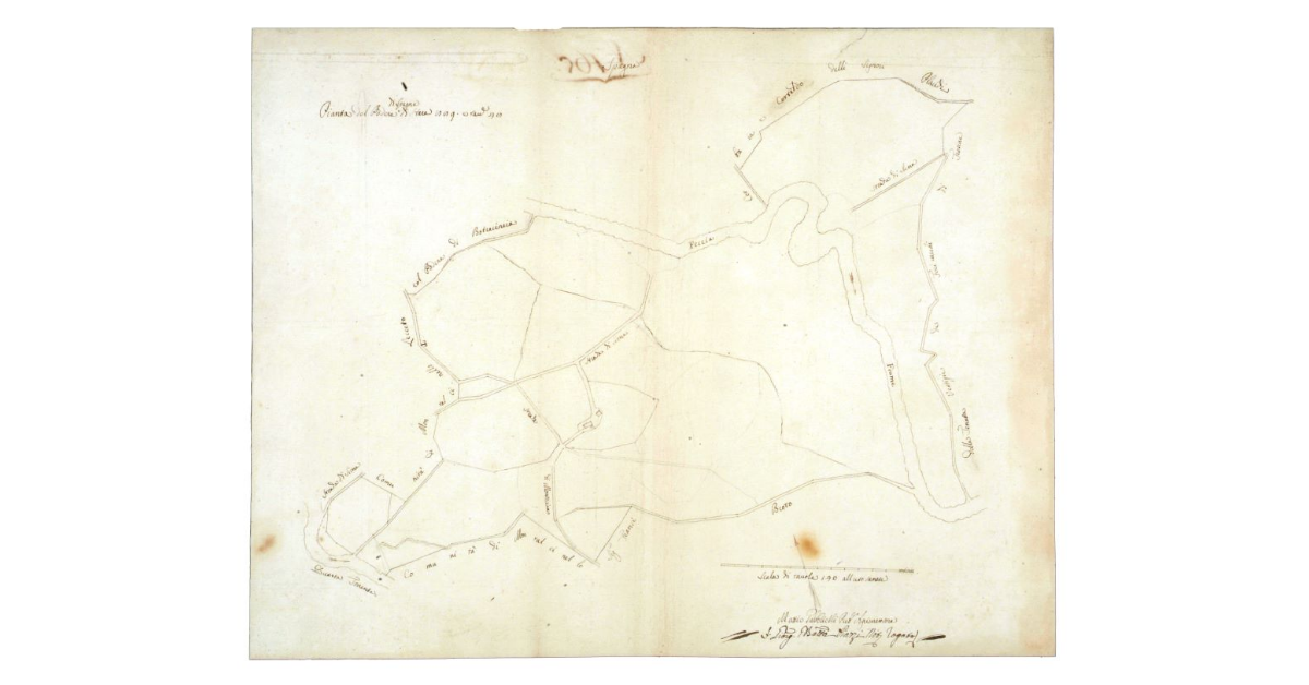 Pianta del Podere di Spagna di Stara 889 e Tavole 48