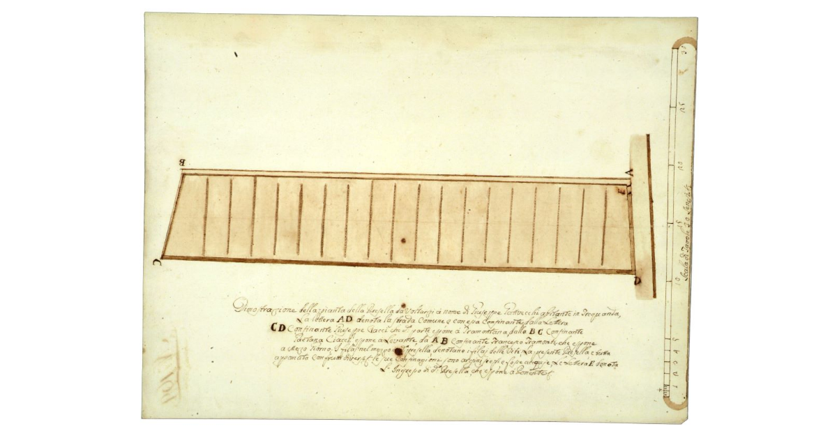 Dimostrazione della pianta della Presella da voltarsi a nome di Giuseppe Gattivecchi abitante in Trequanda