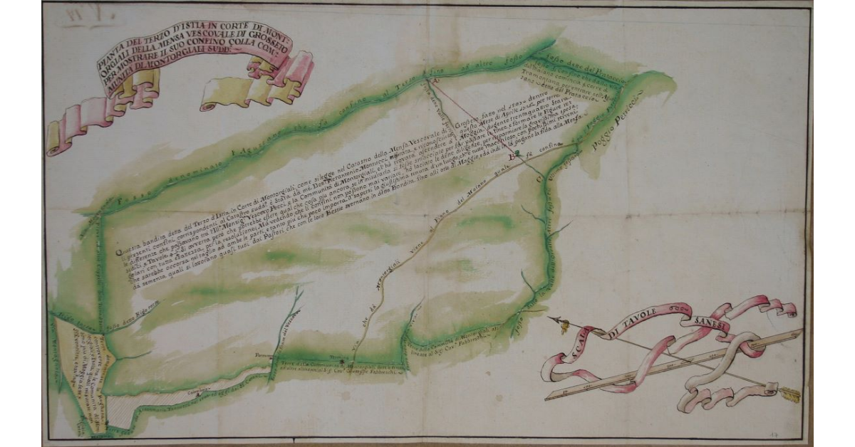 Pianta del Terzo d’Istia in corte di Montorgiali della Mensa Vescovale di Grosseto per mostrare suo confino colla comunità di Montorgiali suddetta