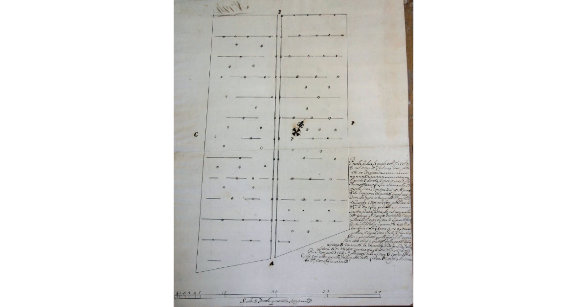 Preselle n° due, le quali voltate nel nome di Antonio Rossi, abitante in Trequanda