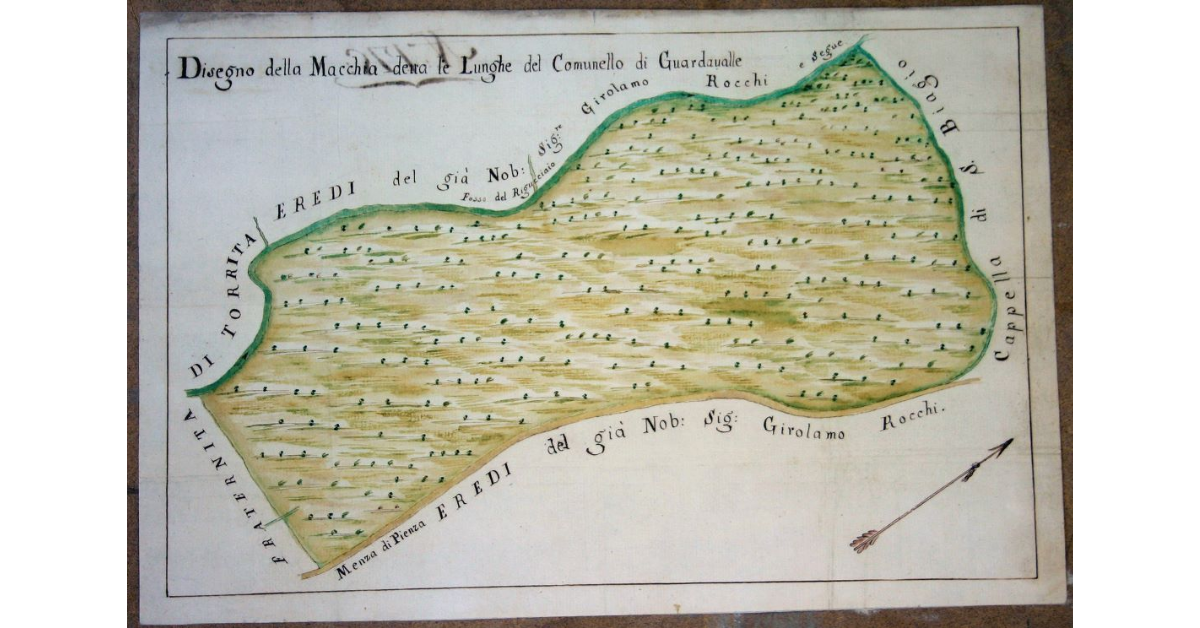 Disegno della Macchia detta le Lunghe del Comunello di Guardavalle