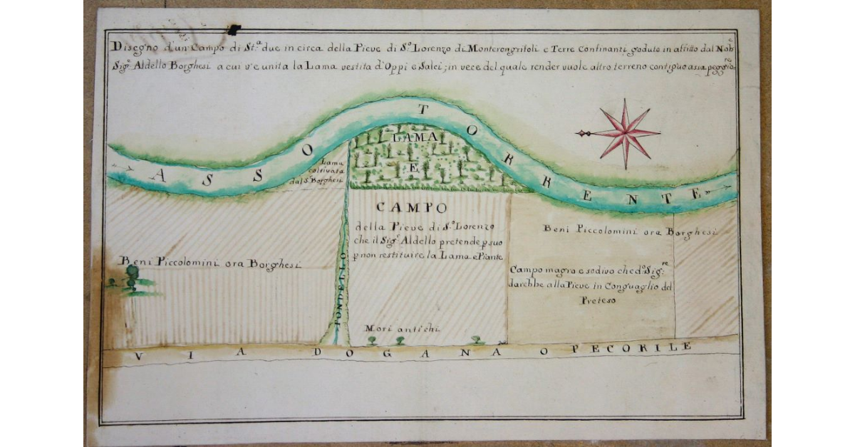 Disegno d’un Campo di Stiora 2 due in circa della Pieve di San Lorenzo di Monterongrifoli e Terre Confinanti goduto in affitto dal Nobile Signore Aldello Borghesi a cui v’è unita la Lama vestita d’Oppi e Salci; in vece del quale render vuole altro terreno contiguo assa peggiore