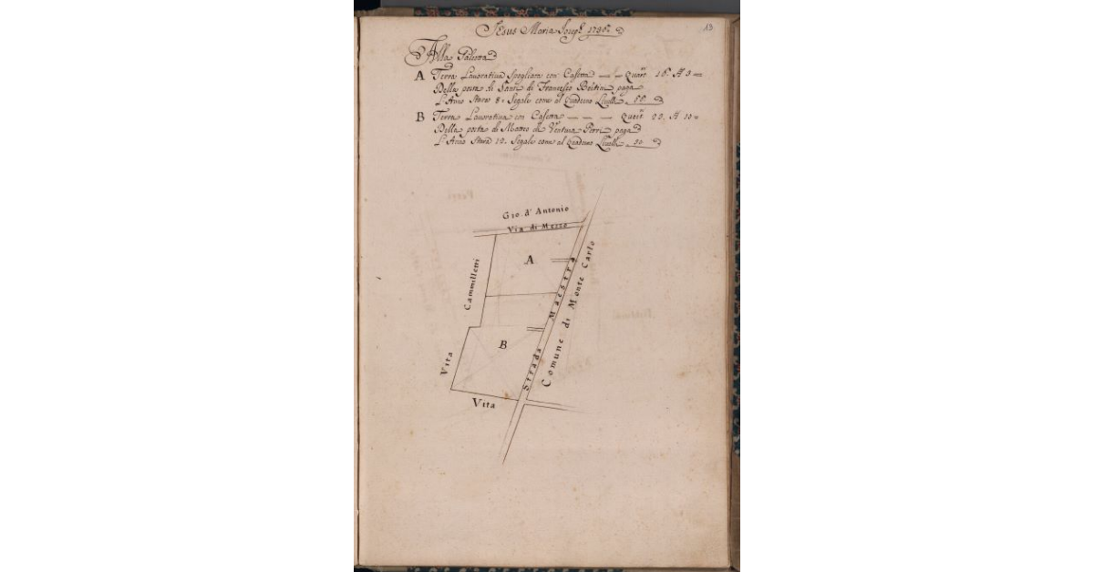 [Terreni concessi a livello nel comune di Pescia]