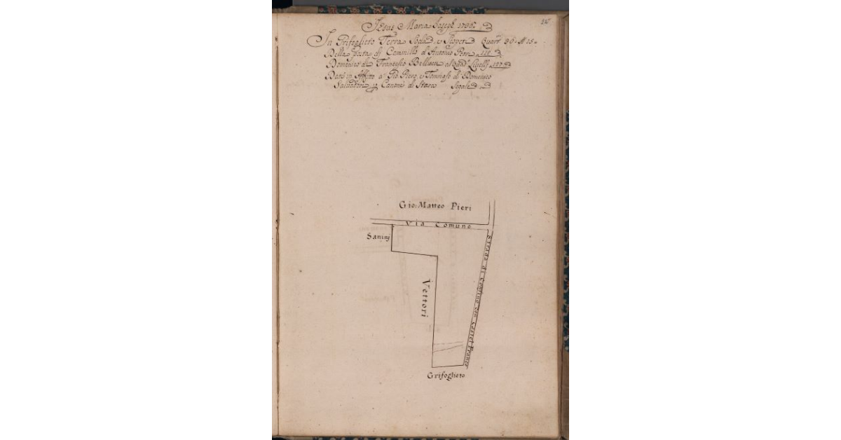 [Terreno in affitto nel comune di Pescia]