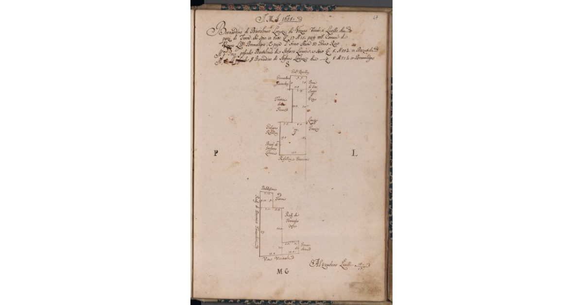 [Terreni concessi a livello nel comune di Uzzano]