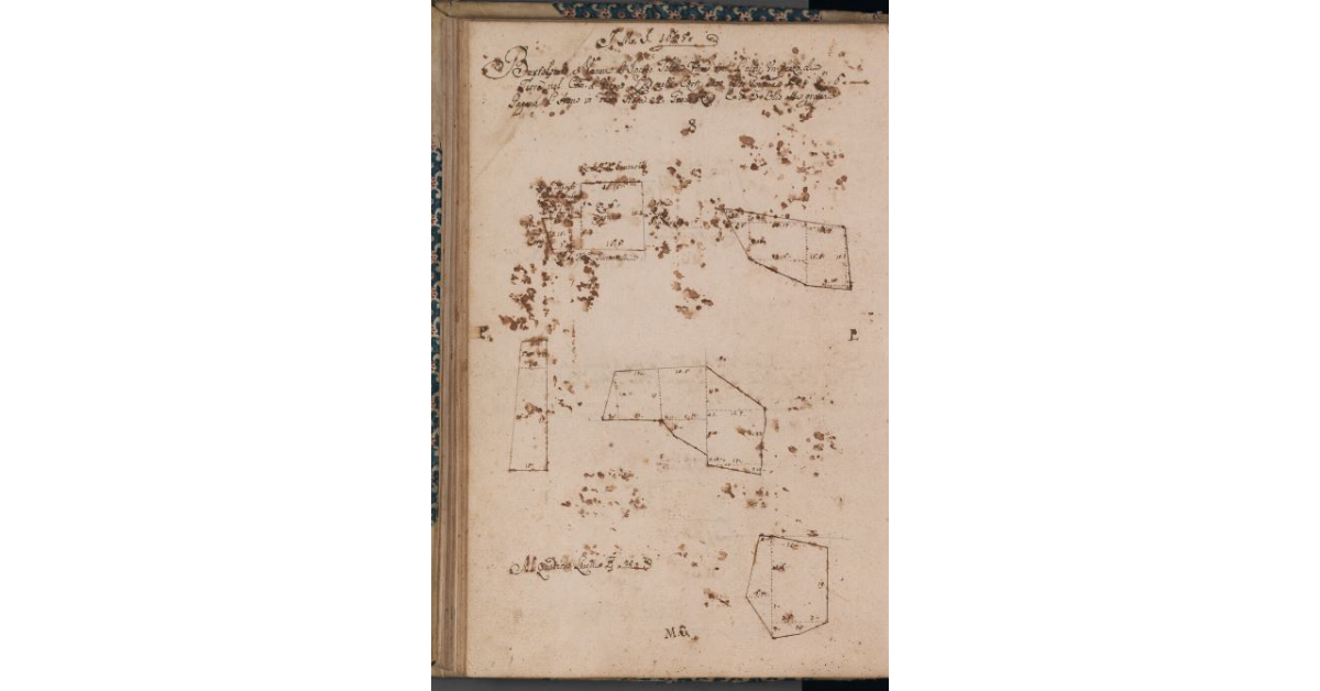 [Terreni concessi a livello nel comune di Uzzano]