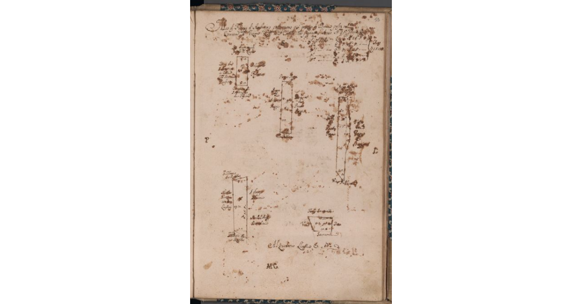 [Terreni concessi a livello nel comune di Uzzano]