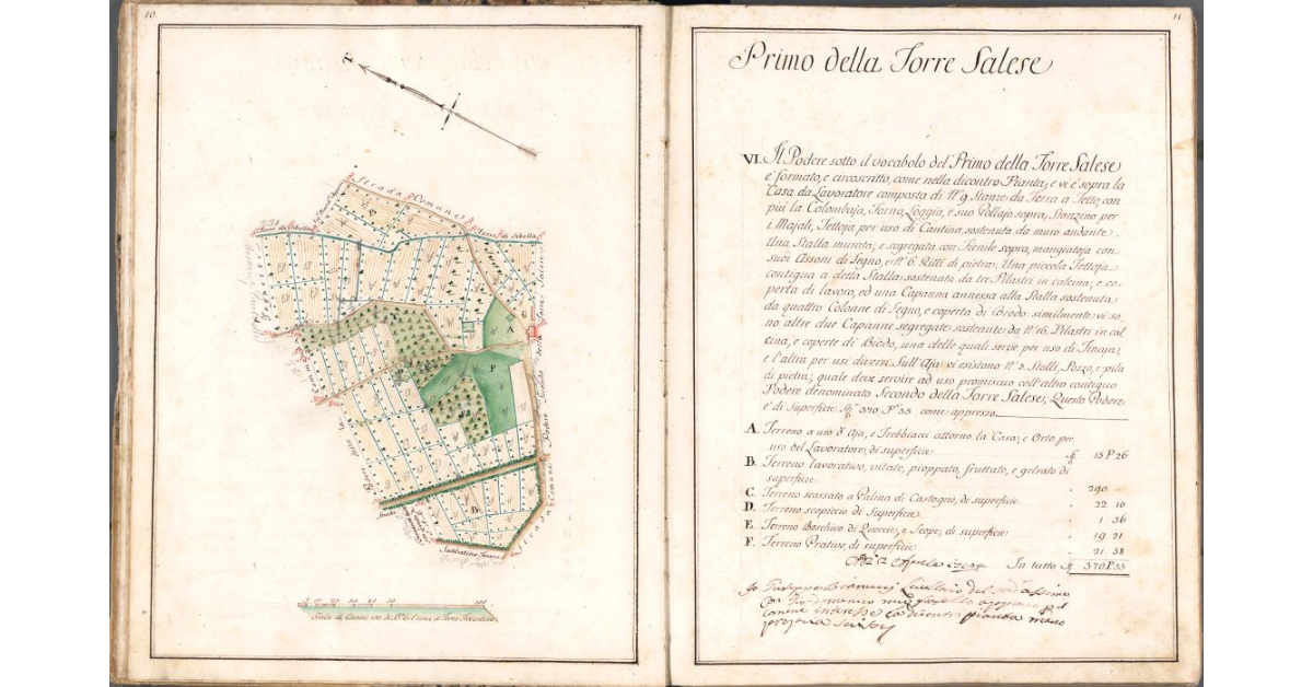 Primo della Torre Salese