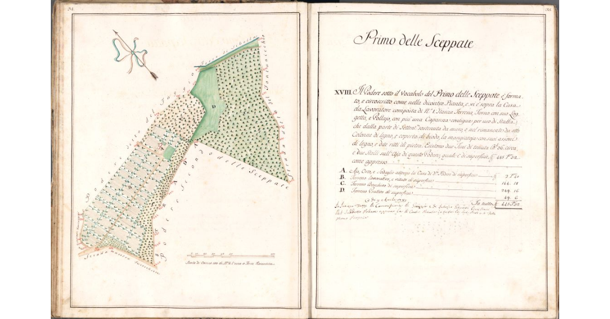 Primo delle Sceppate