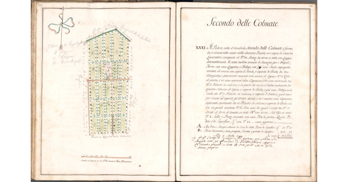 Secondo delle Colmate