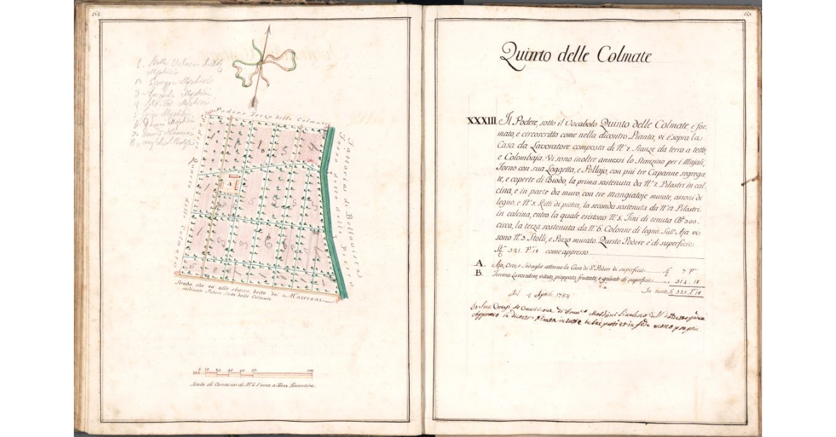 Quinto delle Colmate