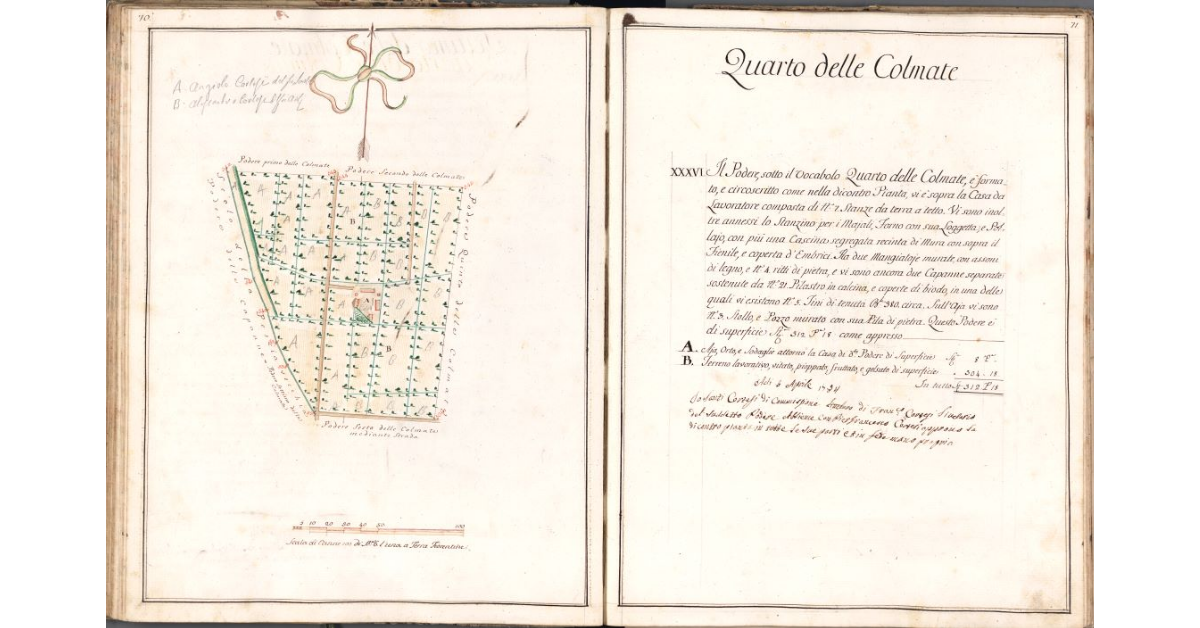 Quarto delle Colmate