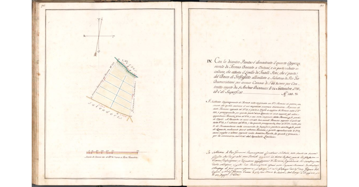 [Quarto appezzamento di terreno, appartenente al Bosco di Grifoglieto, da ridursi a coltura]