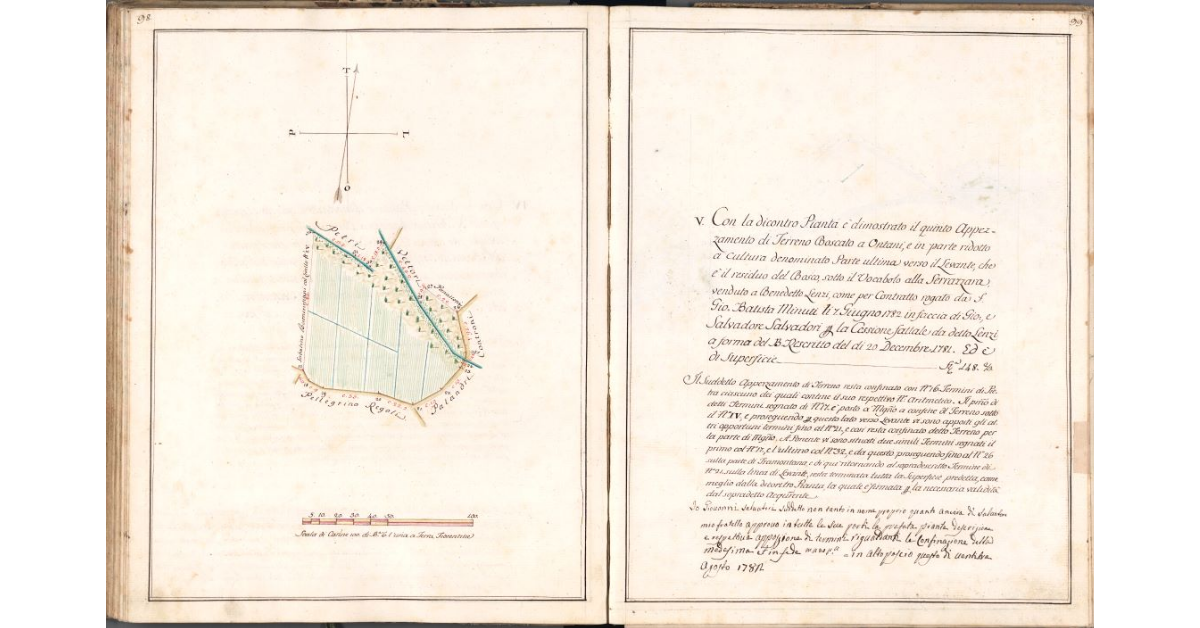 [Quinto appezzamento di terreno, appartenente al Bosco della Serrazzara, da ridursi a coltura]