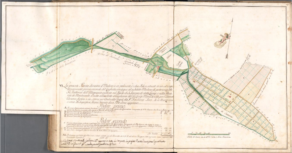 [Pianta dei poderi Primo e Secondo del Laghetto]