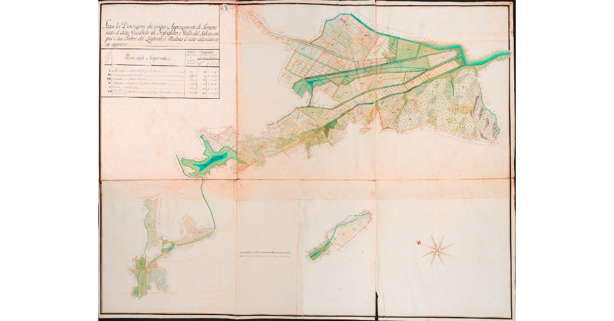 [Pianta Topografica in Ristretto di tutti i Poderi componenti la R. Fattoria dell'Altopascio, con più gli Appezzamenti di Terreni Prativi, e Sodaglie, e i due Boschi sotto il Vocabolo di Serezzara, e Grifoglieto di S.A.R