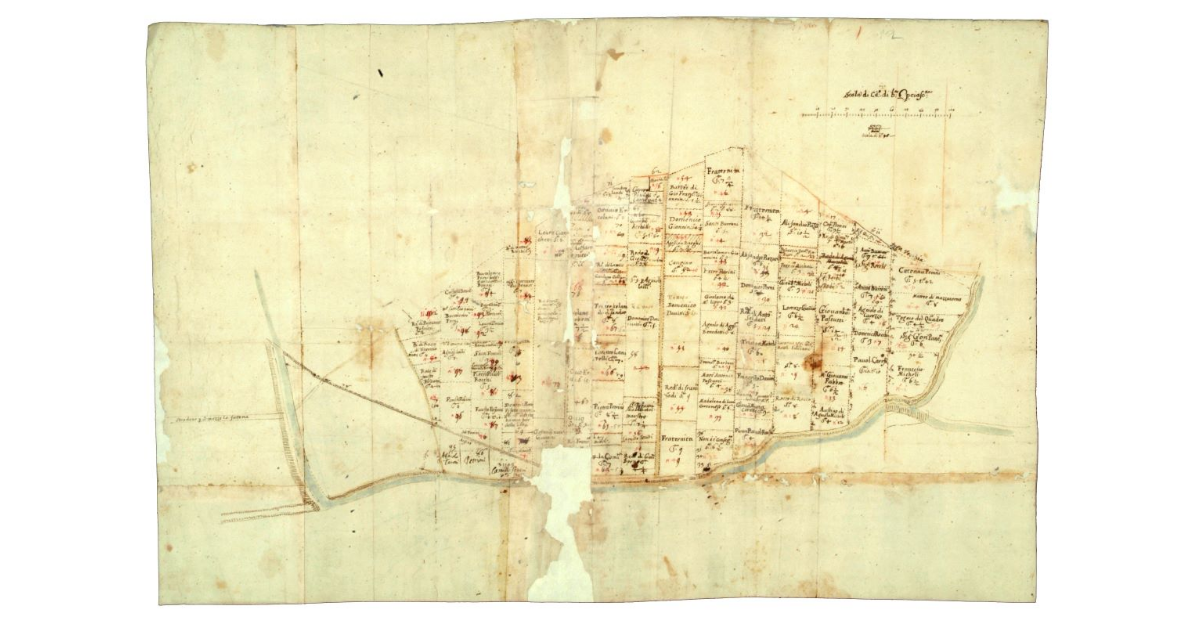 [Appezzamenti di terreno nel Piano di Torrita]