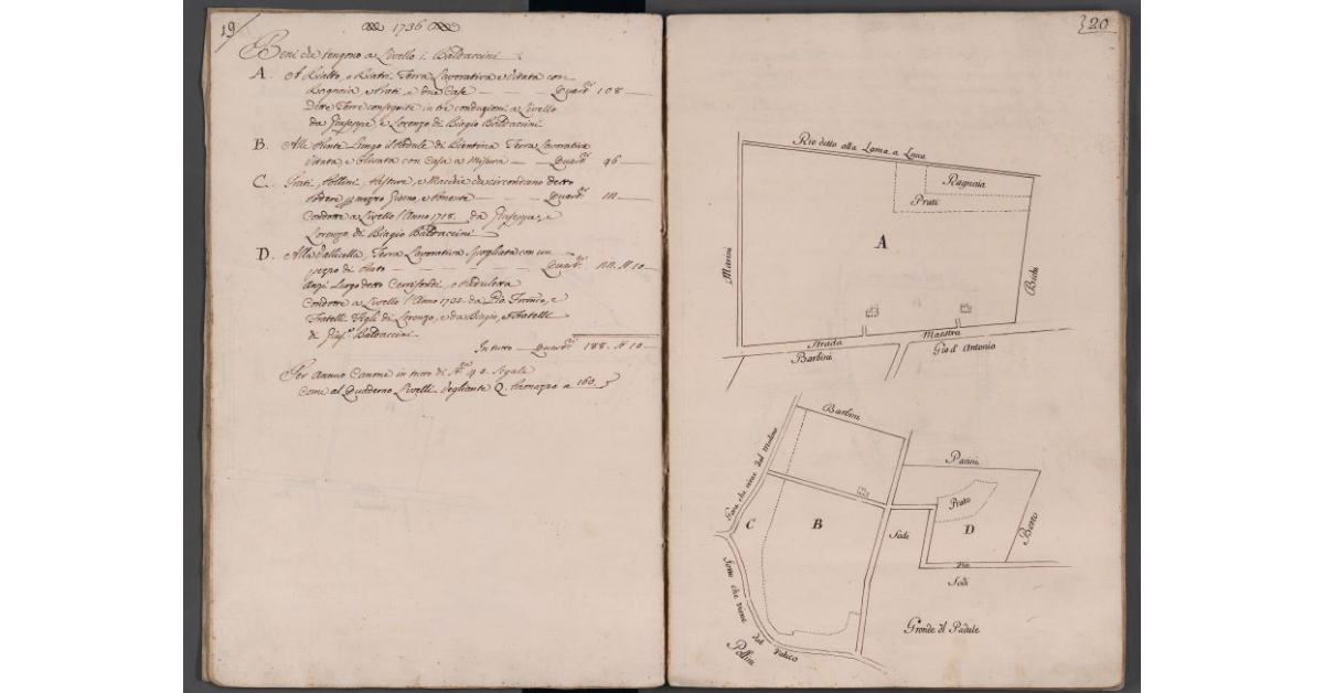 [Appezzamenti di terreno condotti a livello dai Baldaccini]