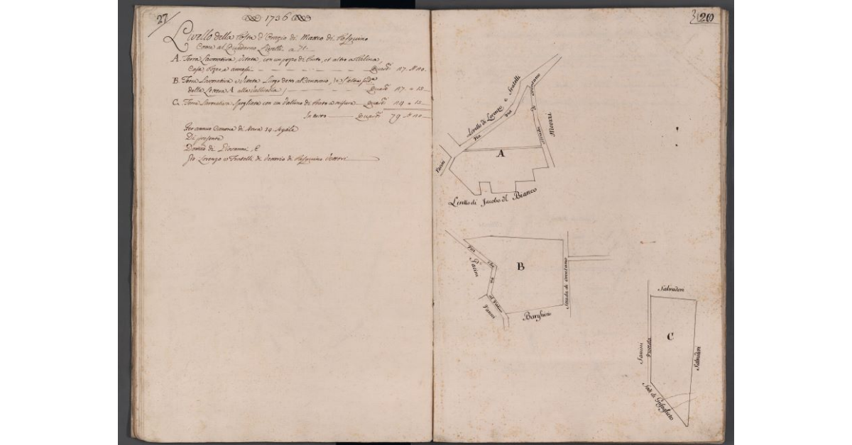 [Appezzamenti di terreno concessi a livello a Domenico e Giovan Lorenzo Vettori]