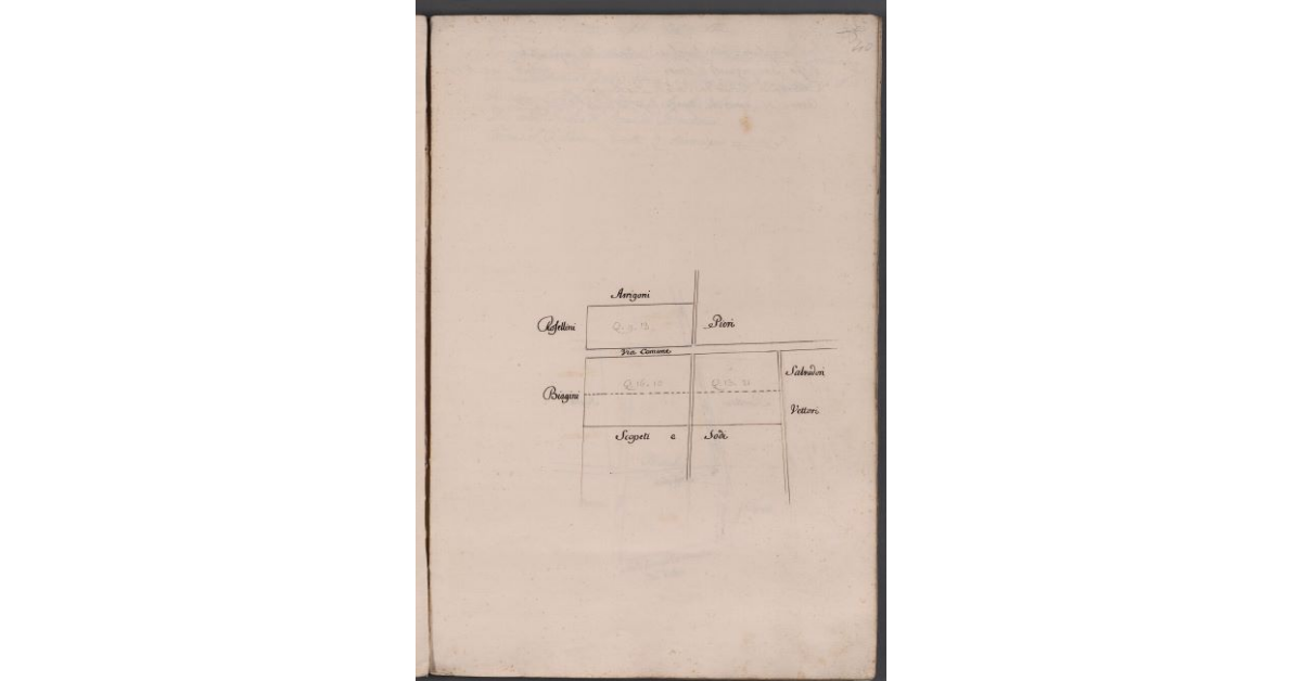 [Appezzamenti di terreno concessi a livello]