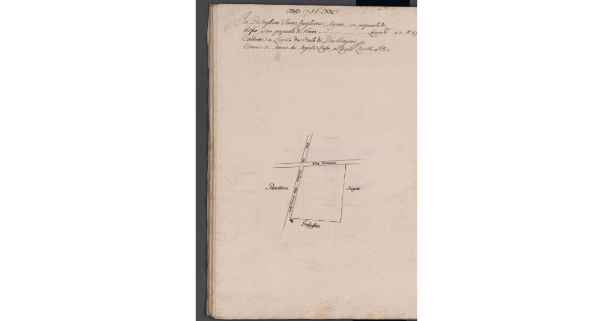 [Appezzamento di terreno situato in località Grifoglieto]