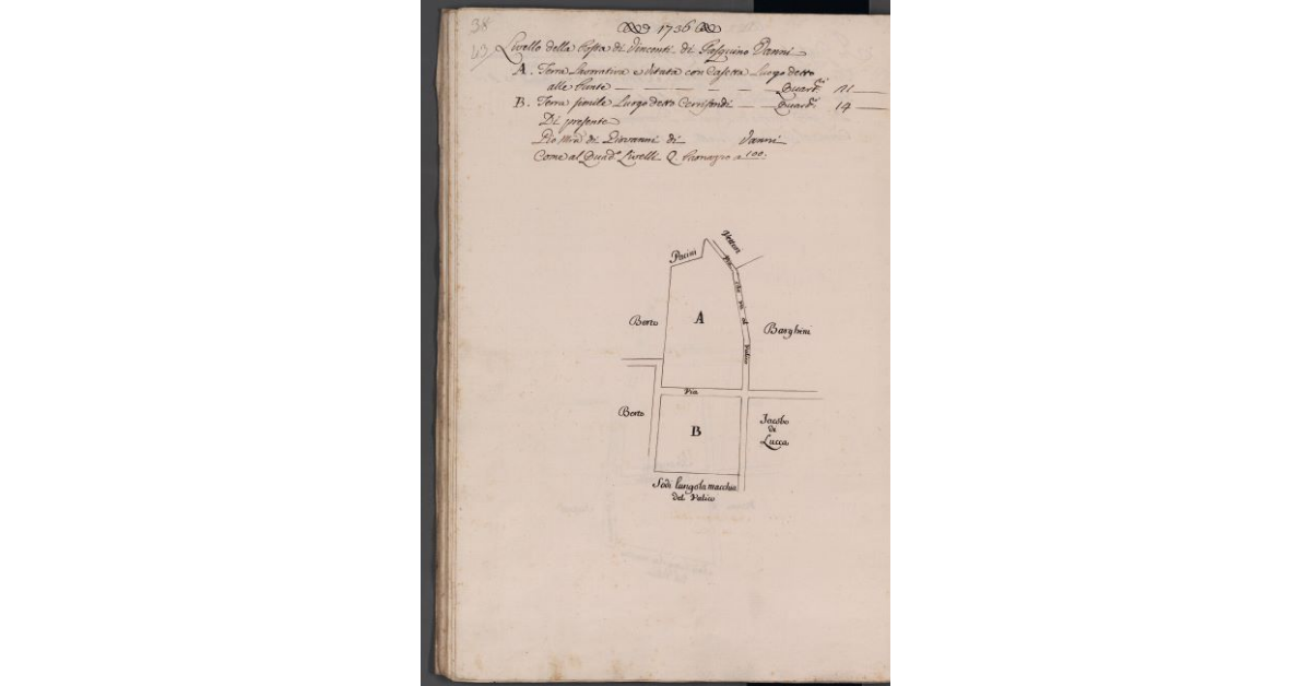 [Appezzamenti di terreno situati in località Punte e Cerrifondi]