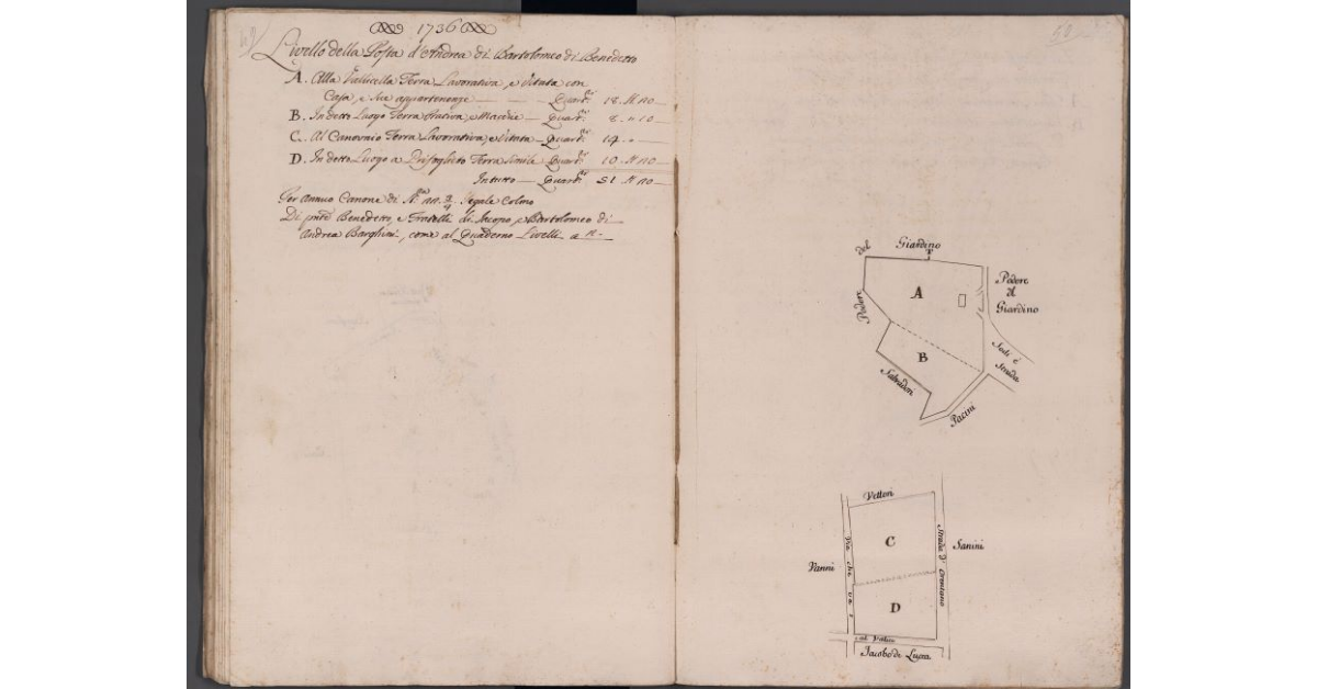 [Appezzamenti di terreno situati in località Vallicella e Canovaio]