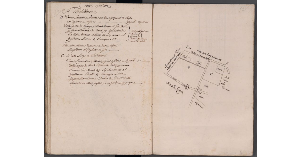 [Appezzamenti di terreno posti in località Belvedere]