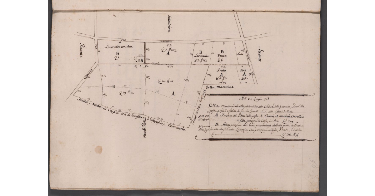 [Terreni posti in località Torre Salese]