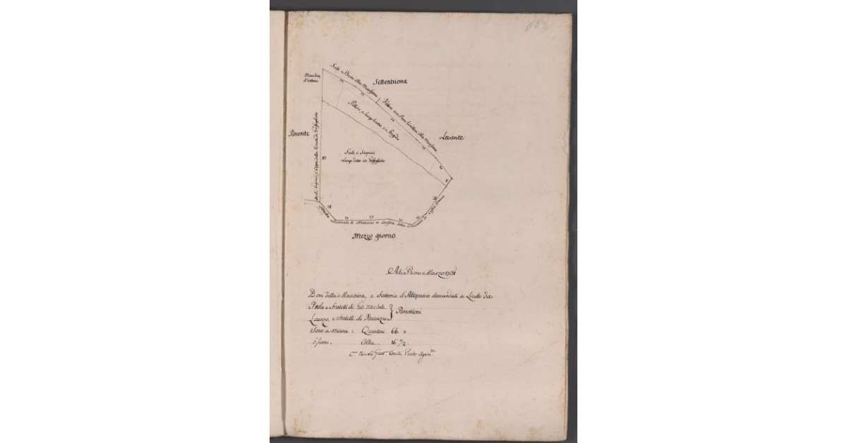 [Appezzamenti di terreno posti in località Grifoglieto]