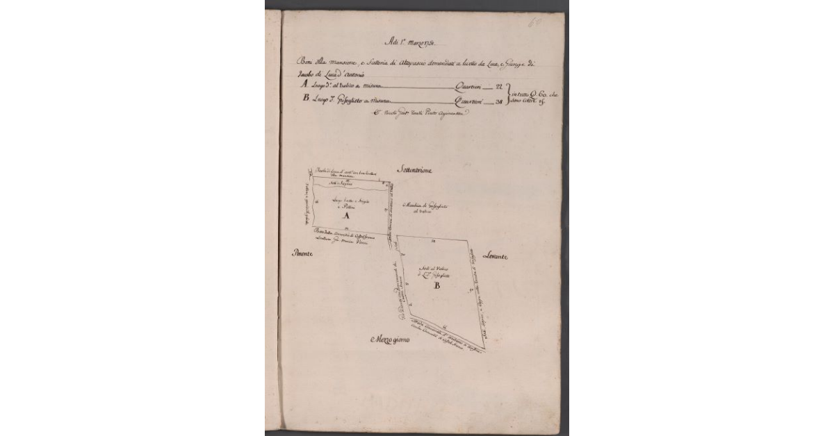 [Appezzamenti di terreno situati in località Valico e Grifoglieto]