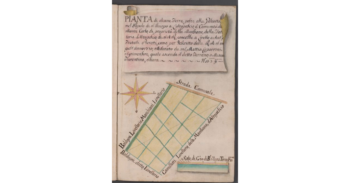 Pianta di alcune Terre poste alla Galeotta nel Popolo di S. Jacopo a Laltopascio, e Comunità di Monte Carlo, di proprietà della Mansione, della Fattoria d'Altopascio, di S.A.R., concesse a Livello a Ant. e Fratelli Pieretti, come per Rescritto della R.A.S. in quest'Anno 1770; Misurato da me Mattia Caparrini Agrimensore, quale ascende il detto Terreno a Misura Fiorentina, stiora 51, panora 7, pugnora 9