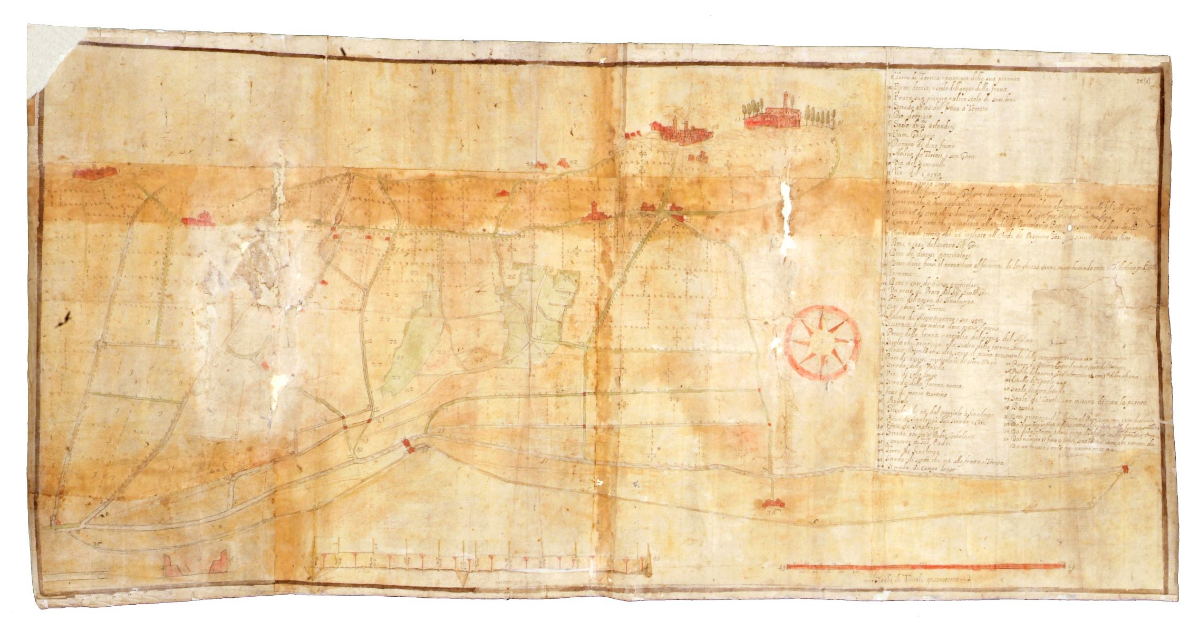 [Torrita. Pianta di quella Terra, sua pianura e fiumi]