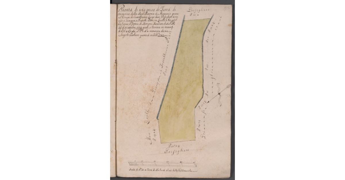 Pianta di una presa di Terra di attenenza della Real Fattoria di Altopascio, posta nel Comune di Castelfranco, Luogo detto Grifoglieto concesso a Giuseppe, e Fratelli Petri, in Livello, a lire 5 per coltra l’anno, a forma di Benigno Rescritto, di S.A.R. del di 20 dicembre 1779, quale si ritrova in misura di Col. 4, Q. 1, Sca. 16, P. 2, B. 4 misurata da me Angiolo Parlanti questo di 10 Febb. 1780